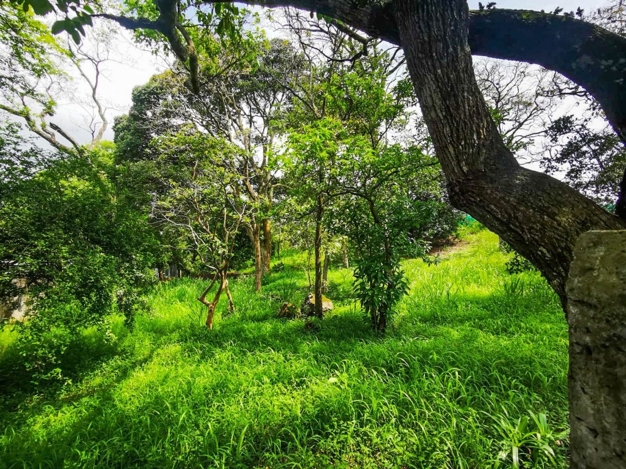 0 bed Land For Sale in La Garita, Alajuela - thumb 11