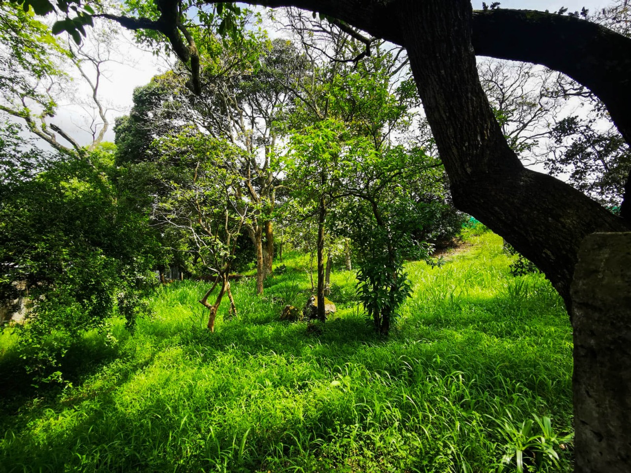 0 bed Land For Sale in La Garita, Alajuela - thumb 12