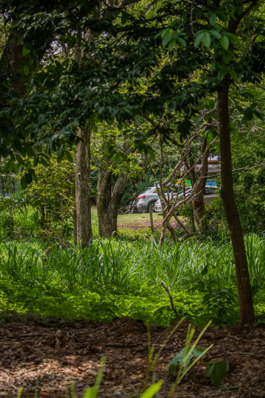 0 bed Land For Sale in La Garita, Alajuela - thumb 7