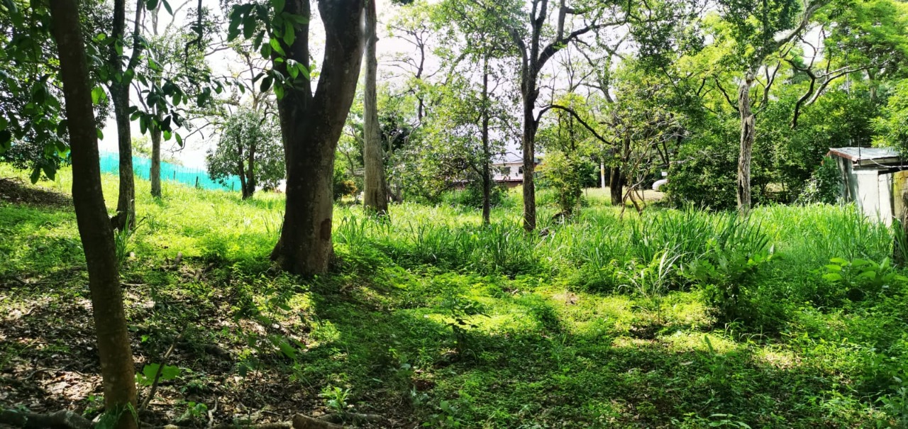 0 bed Land For Sale in La Garita, Alajuela - thumb 2