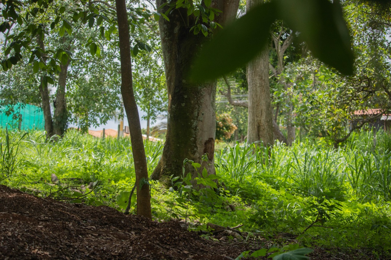 0 bed Land For Sale in La Garita, Alajuela - thumb 9