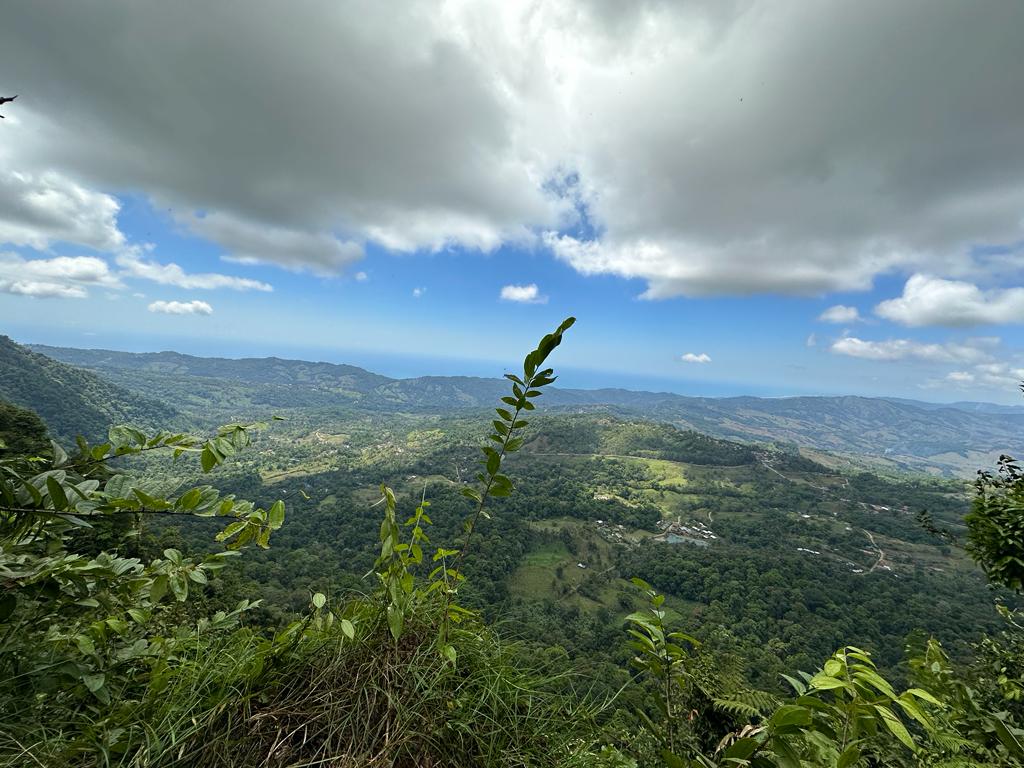 0 bed Land For Sale in Dominical, Puntarenas - thumb 5