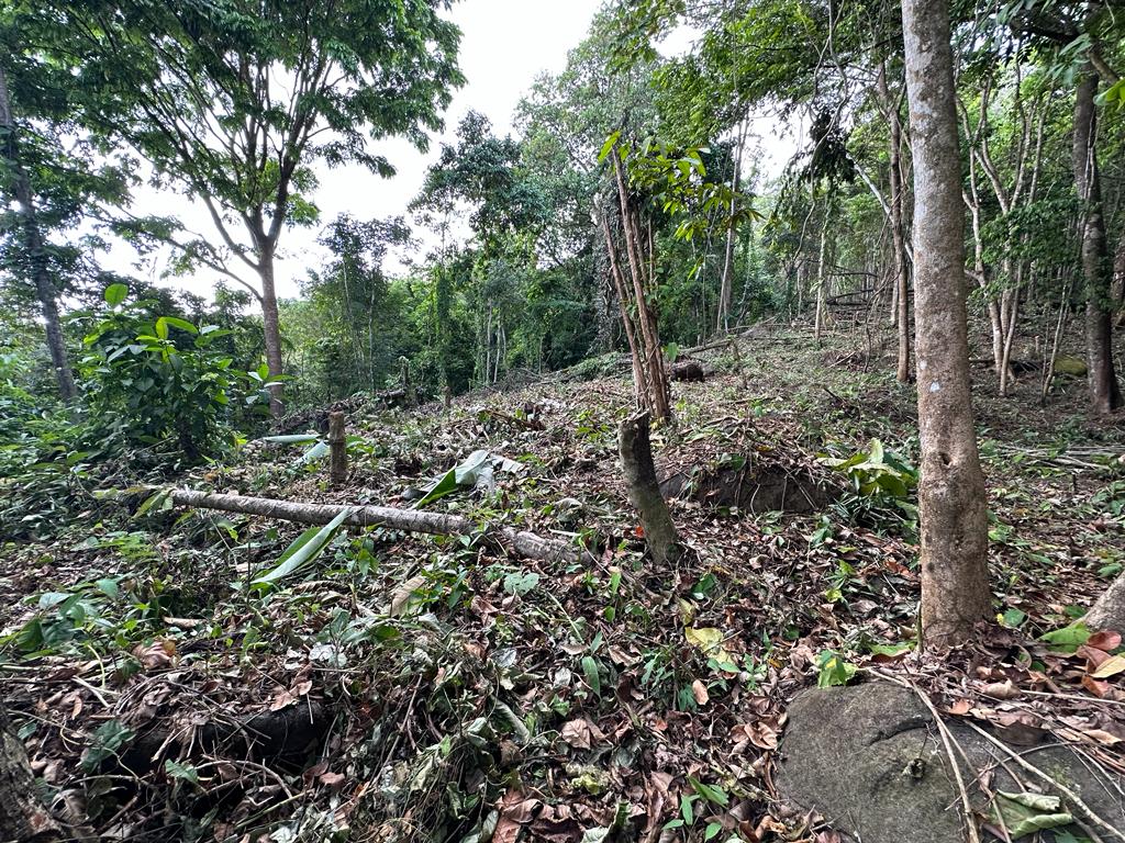 0 bed Land For Sale in Dominical, Puntarenas - thumb 21