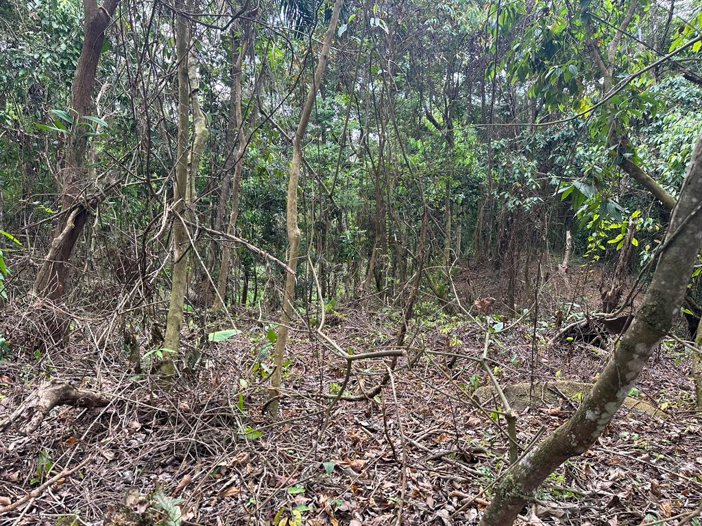 0 bed Land For Sale in Dominical, Puntarenas - thumb 22