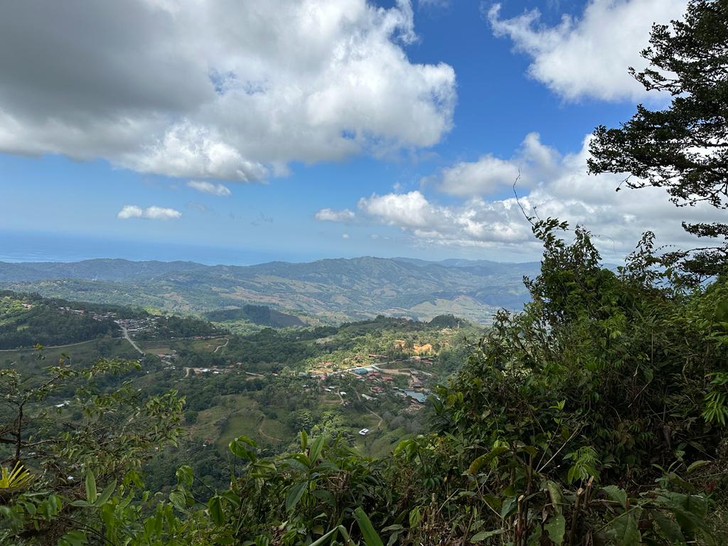 0 bed Land For Sale in Dominical, Puntarenas - thumb 1