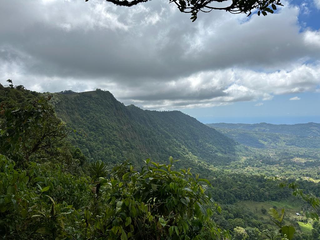 0 bed Land For Sale in Dominical, Puntarenas - thumb 24