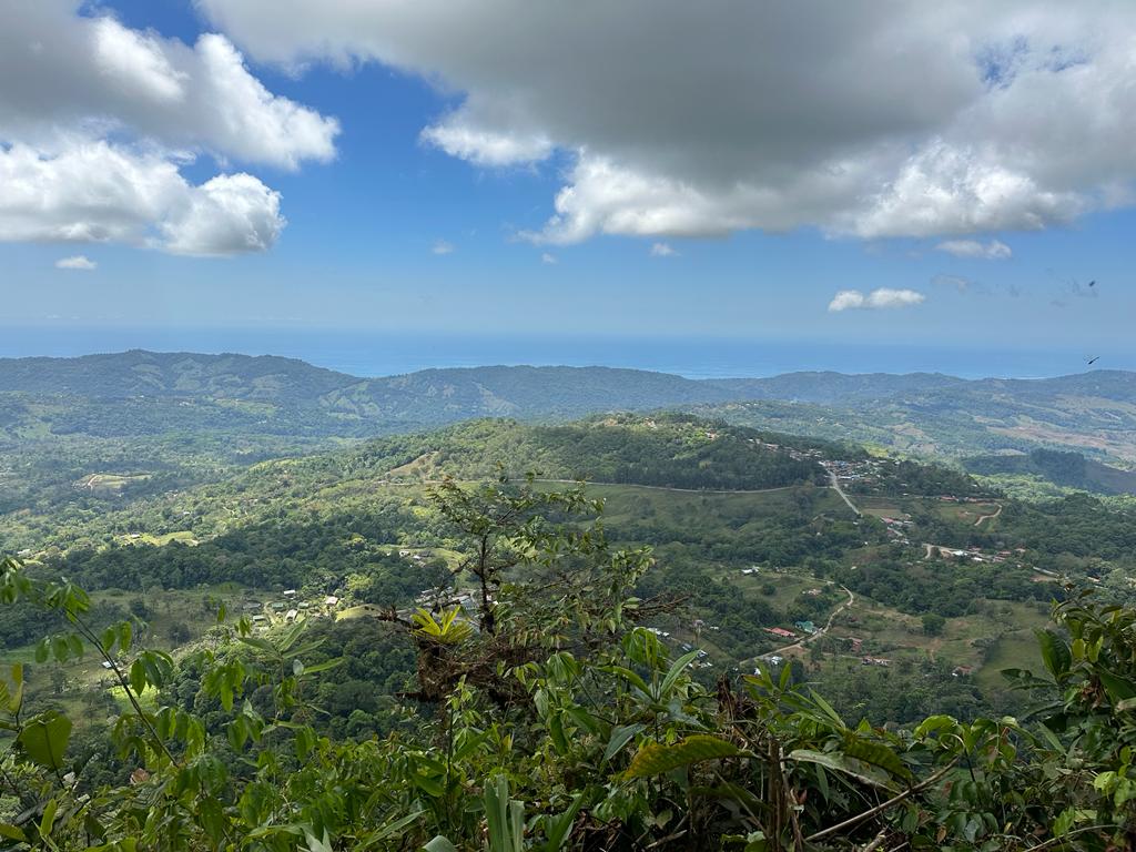 0 bed Land For Sale in Dominical, Puntarenas - thumb 25