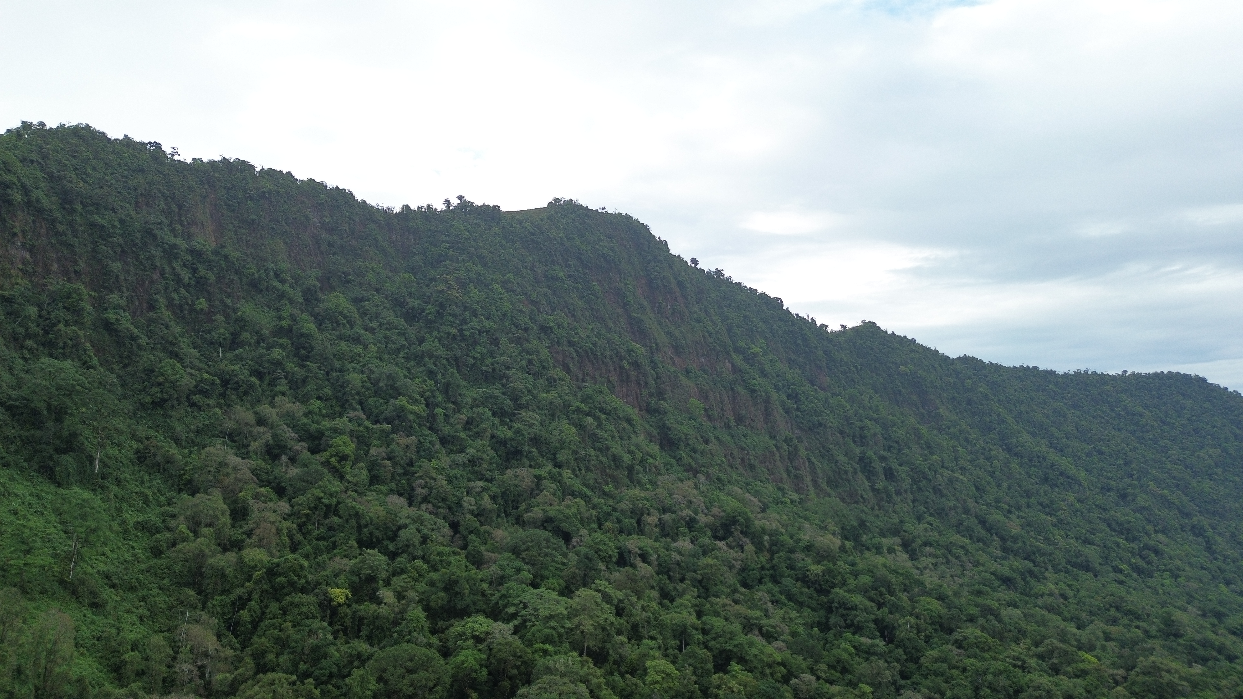 0 bed Land For Sale in Dominical, Puntarenas - thumb 13