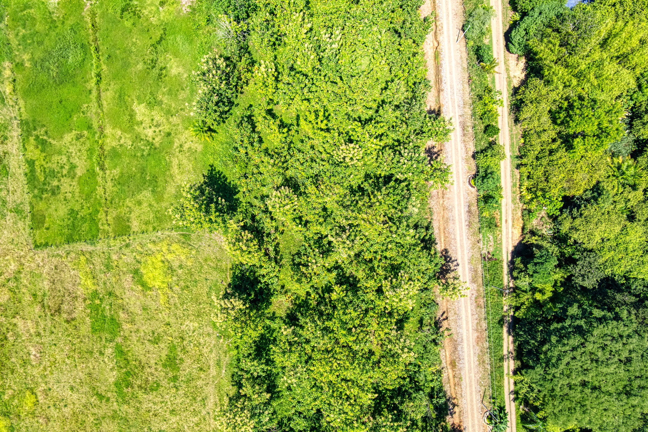 0 bed Land For Sale in Dominical, Puntarenas - thumb 10