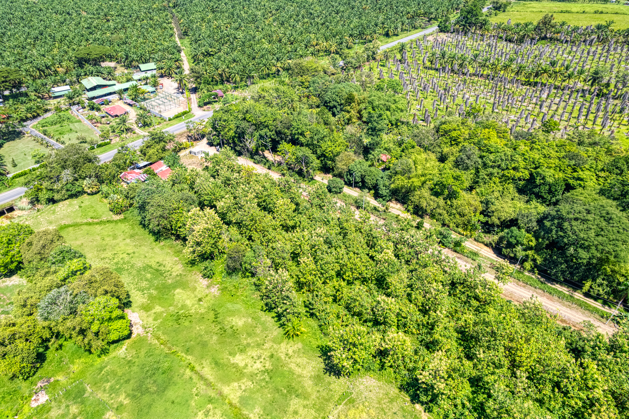 0 bed Land For Sale in Dominical, Puntarenas - thumb 11