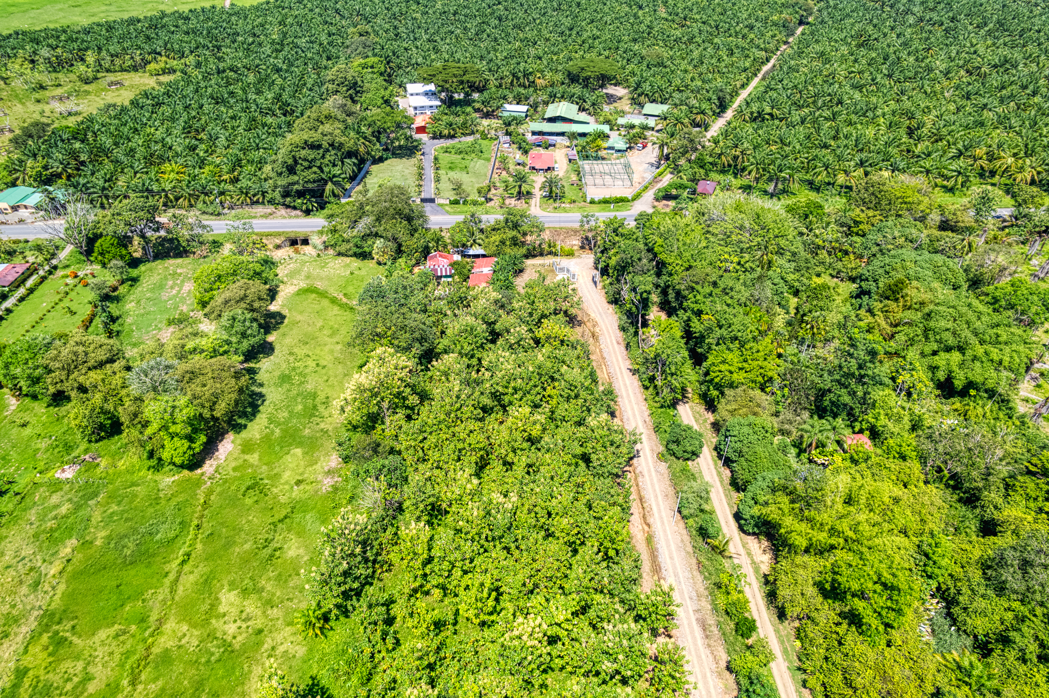 0 bed Land For Sale in Dominical, Puntarenas - thumb 7