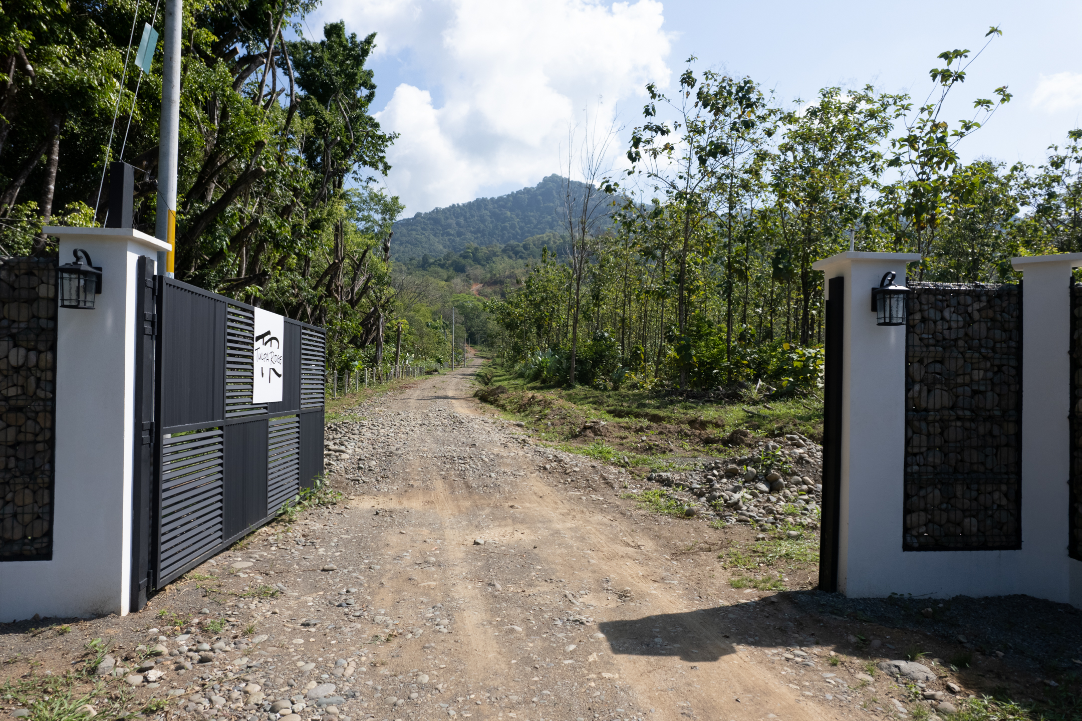 0 bed Land For Sale in Dominical, Puntarenas - thumb 2