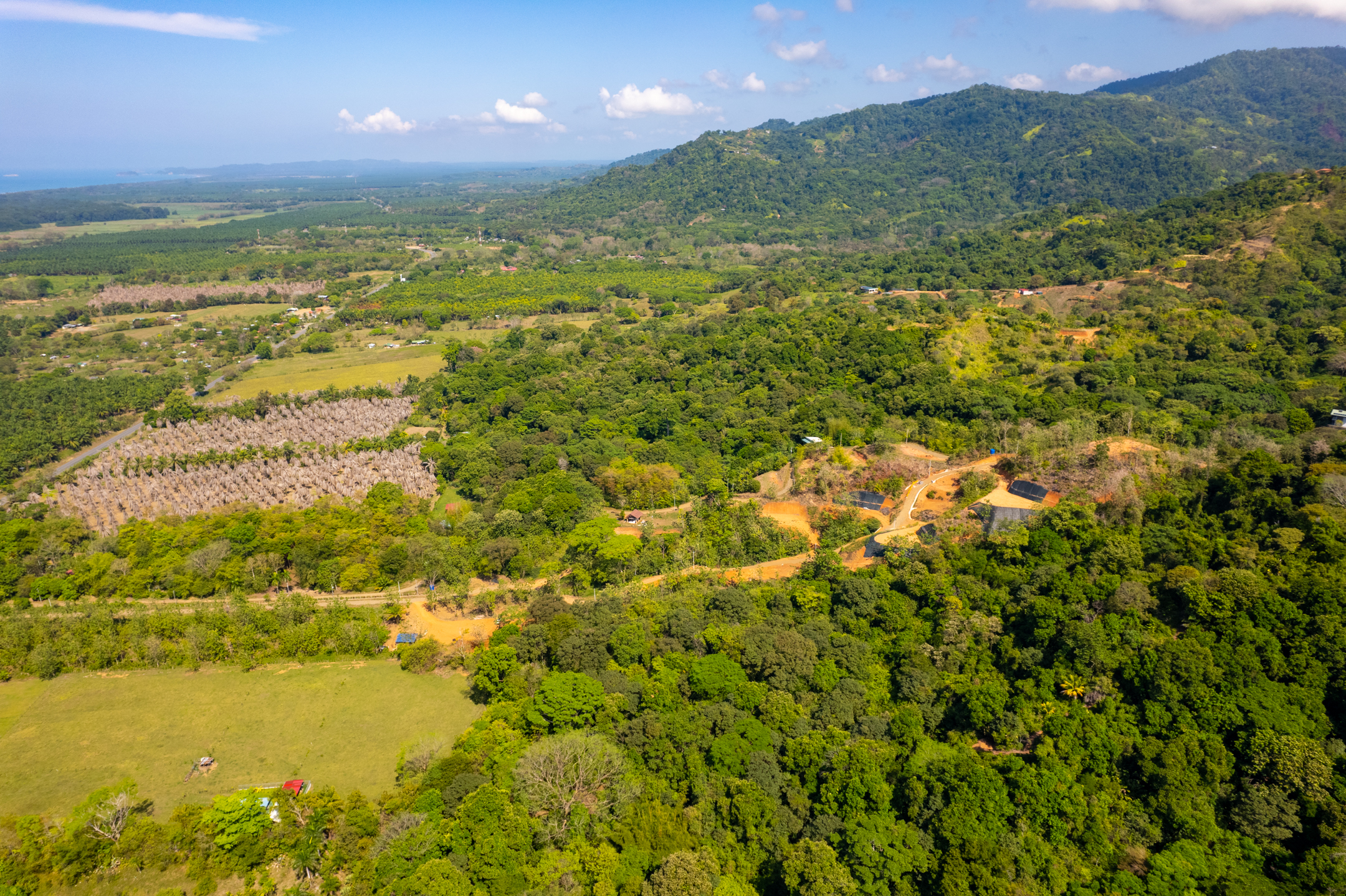 0 bed Land For Sale in Dominical, Puntarenas - thumb 12