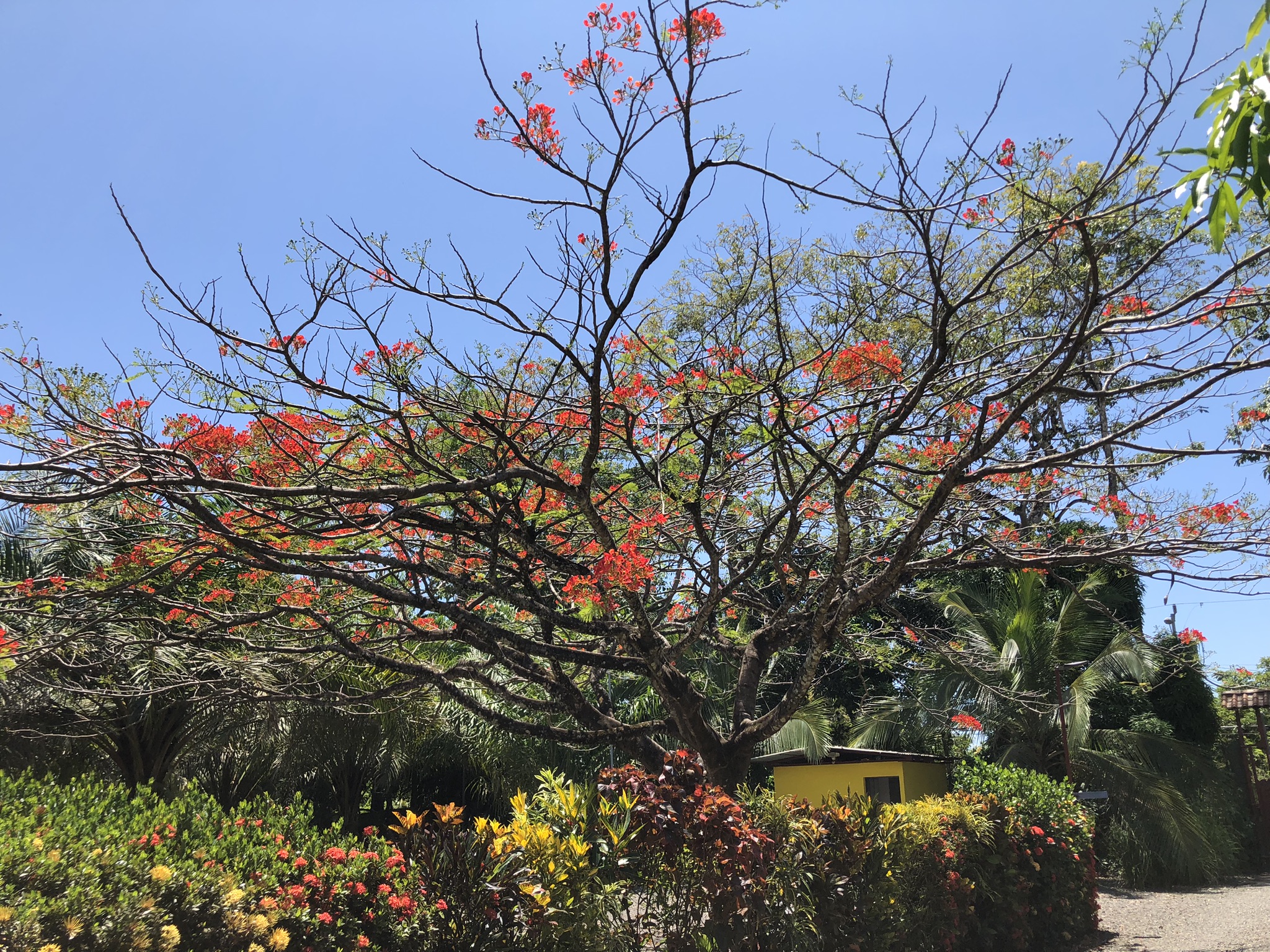 5 bed Hotel / Leisure For Sale in Playa Bandera, Puntarenas - thumb 28