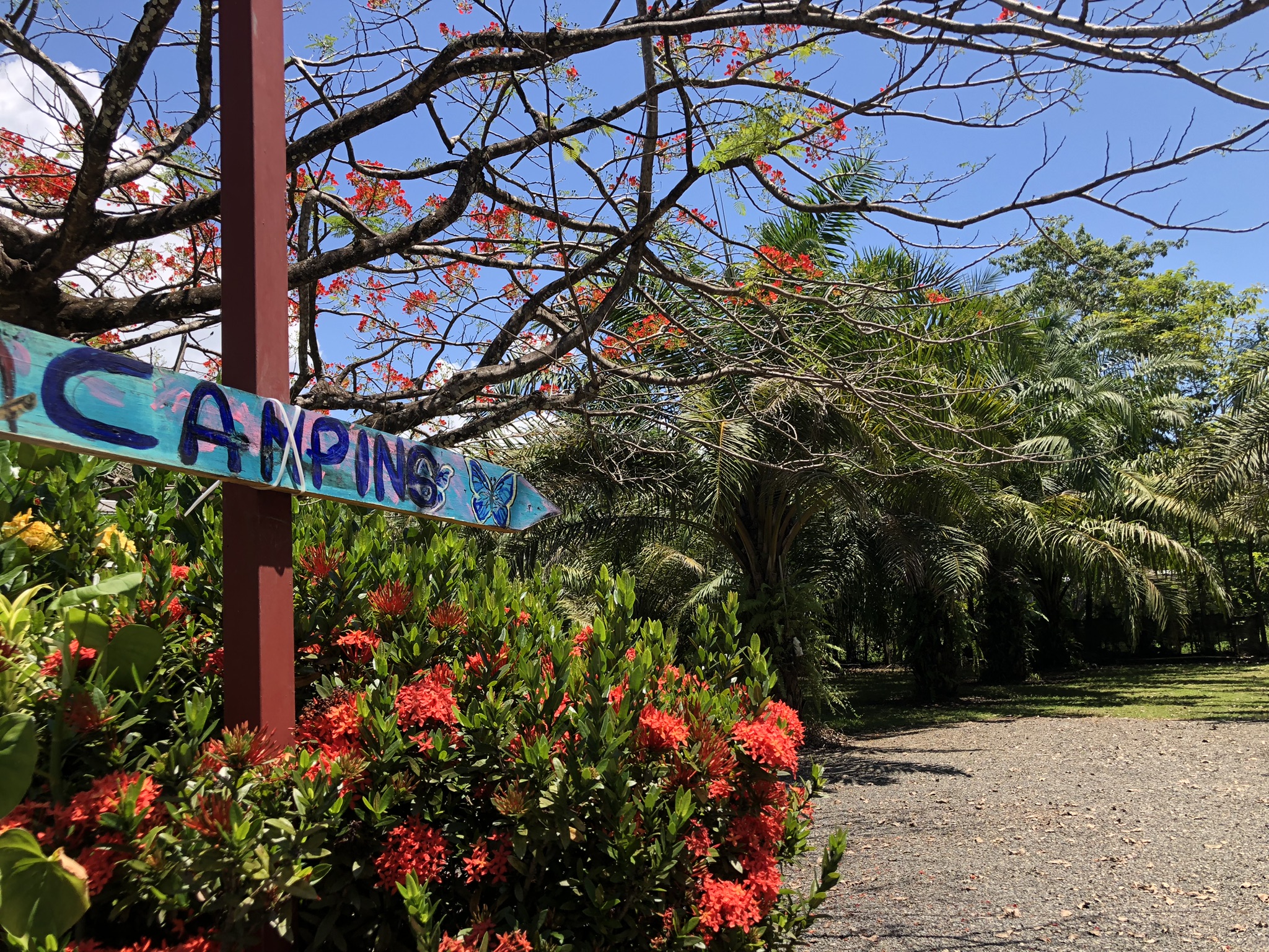 5 bed Hotel / Leisure For Sale in Playa Bandera, Puntarenas - thumb 26