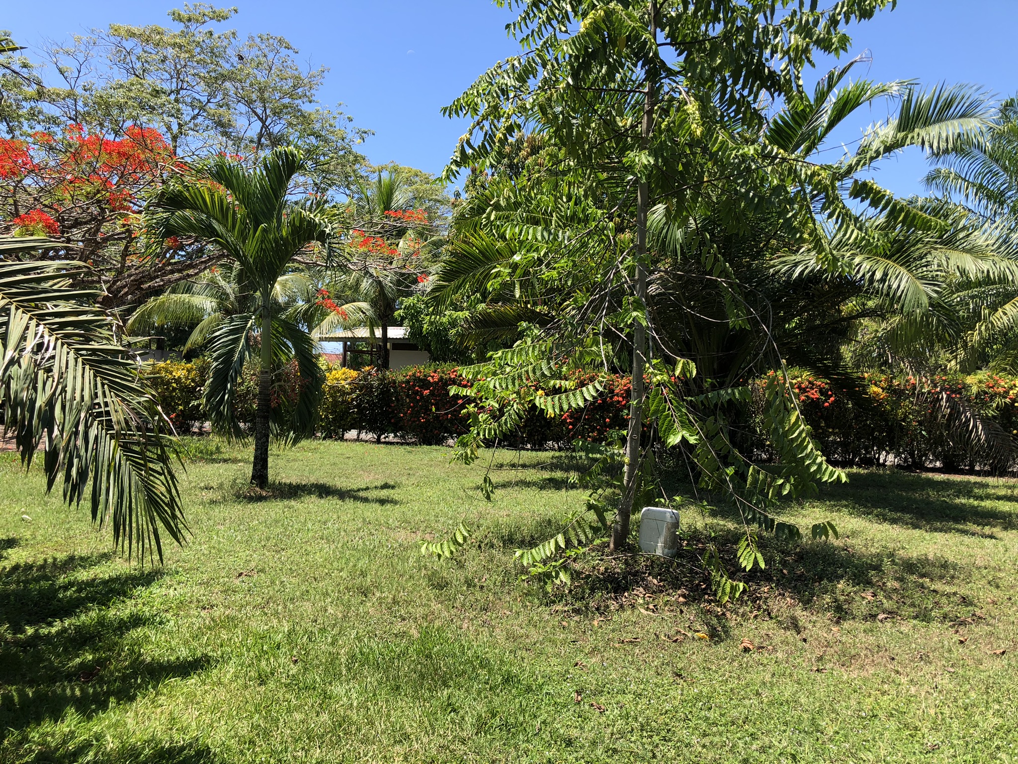 5 bed Hotel / Leisure For Sale in Playa Bandera, Puntarenas - thumb 27