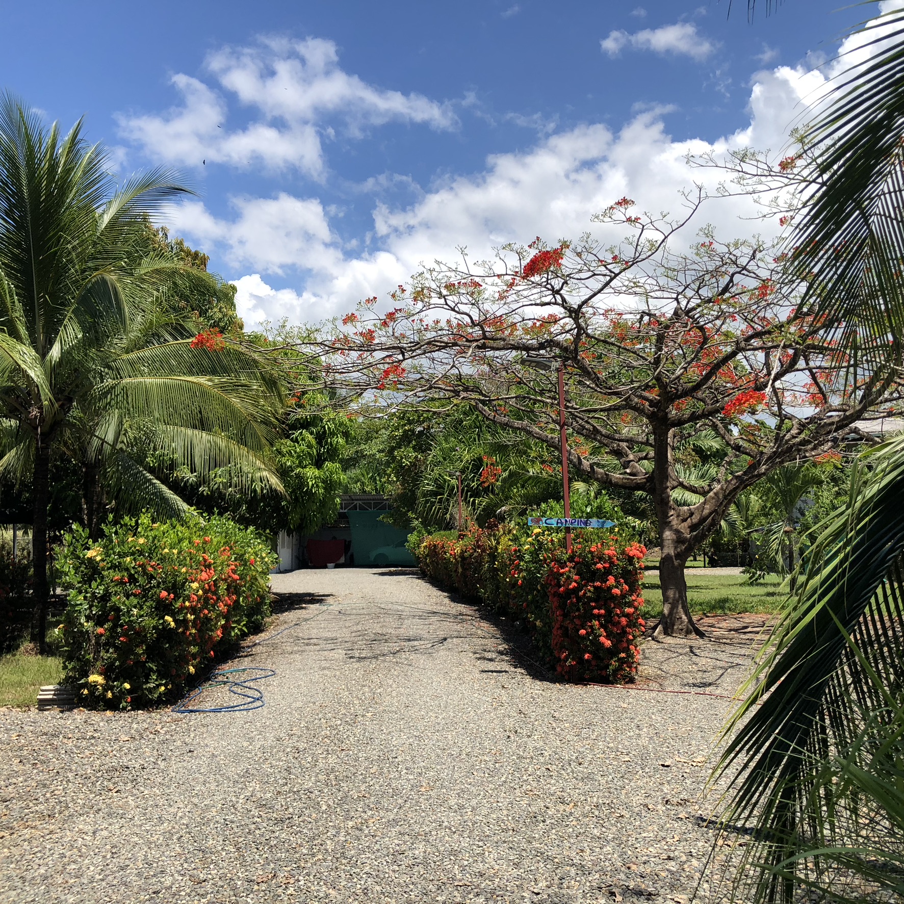 5 bed Hotel / Leisure For Sale in Playa Bandera, Puntarenas - thumb 25