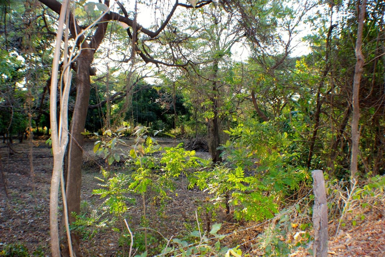 0 bed Land For Sale in Playas Del Coco, Guanacaste - thumb 9