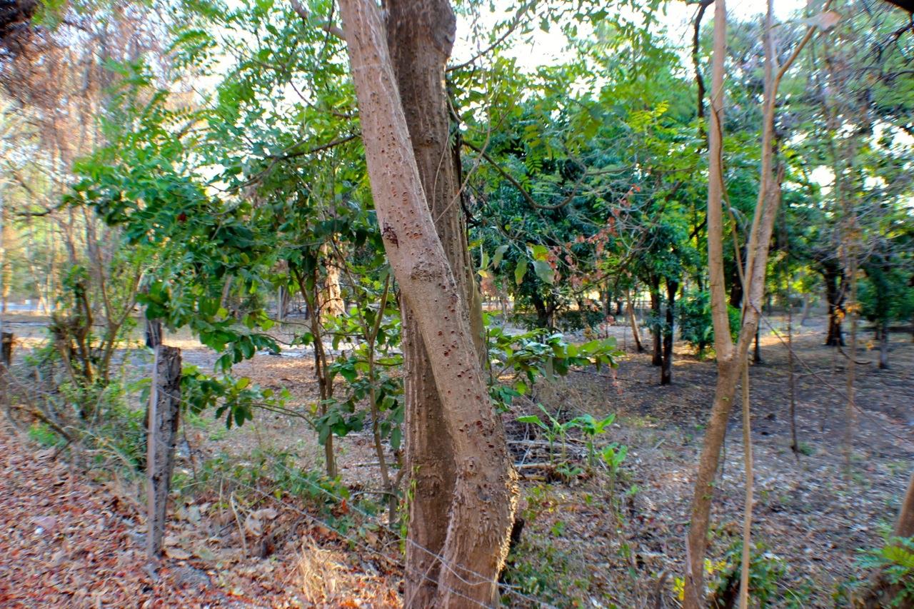 0 bed Land For Sale in Playas Del Coco, Guanacaste - thumb 7