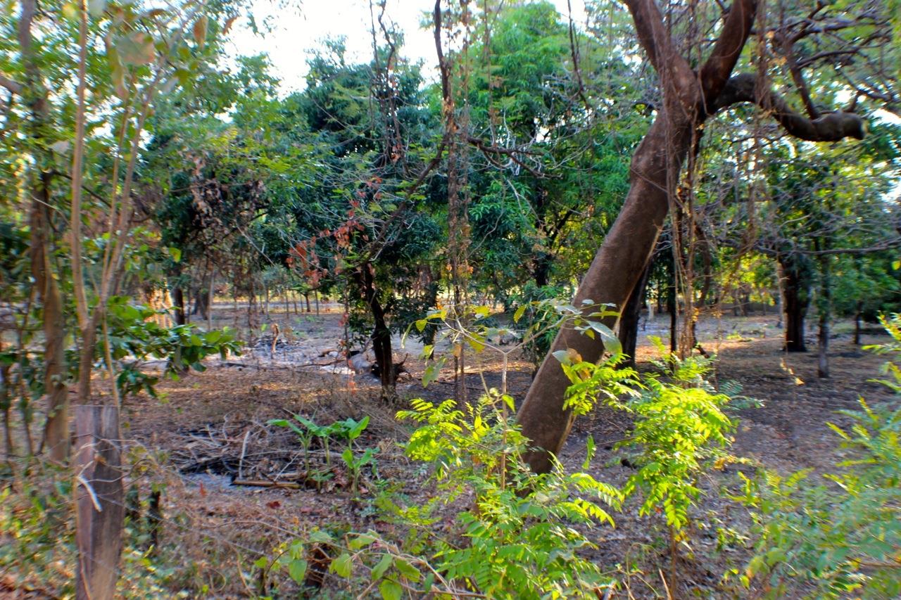 0 bed Land For Sale in Playas Del Coco, Guanacaste - thumb 8