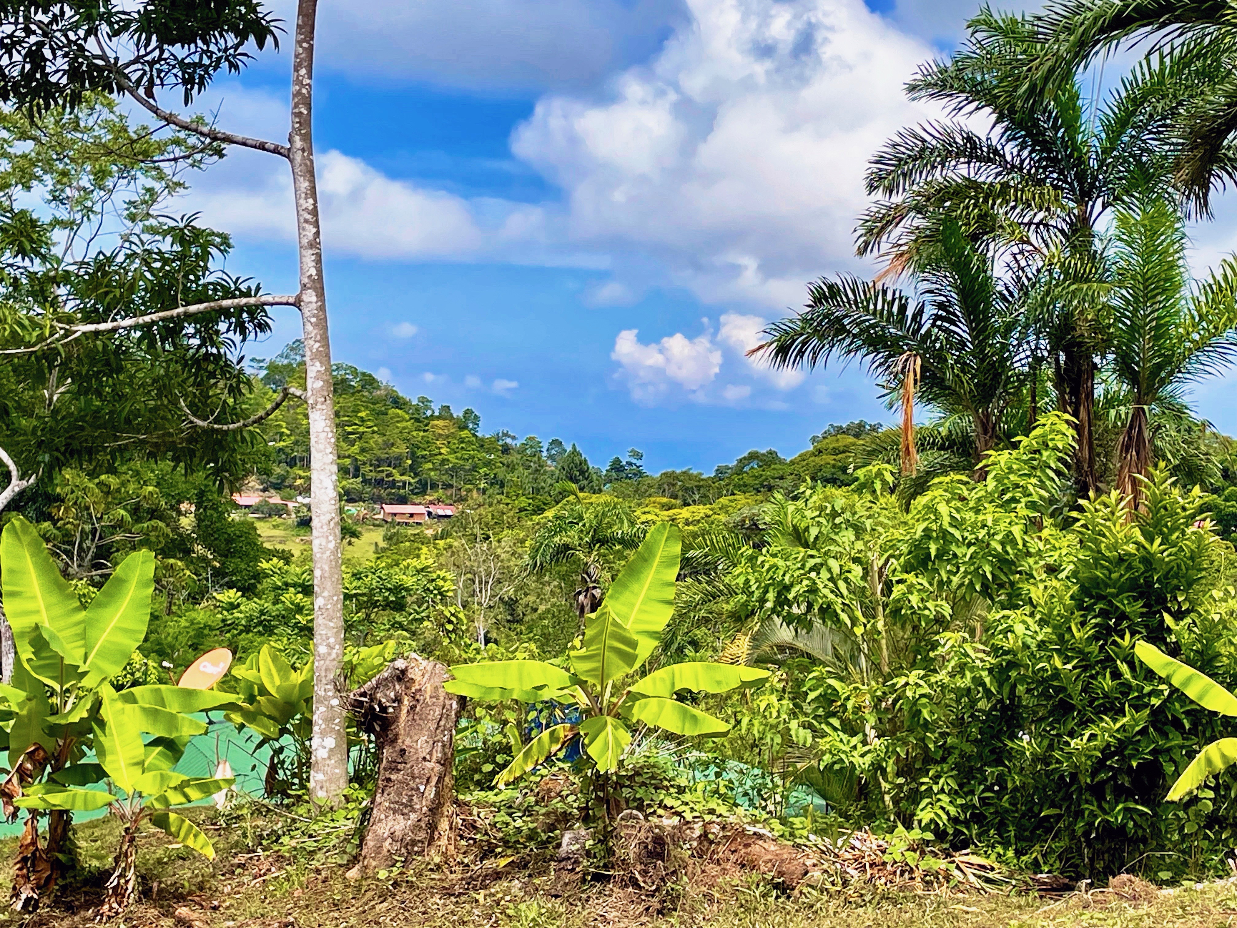 2 bed Single Family Homes For Sale in Dominical, Puntarenas - thumb 28