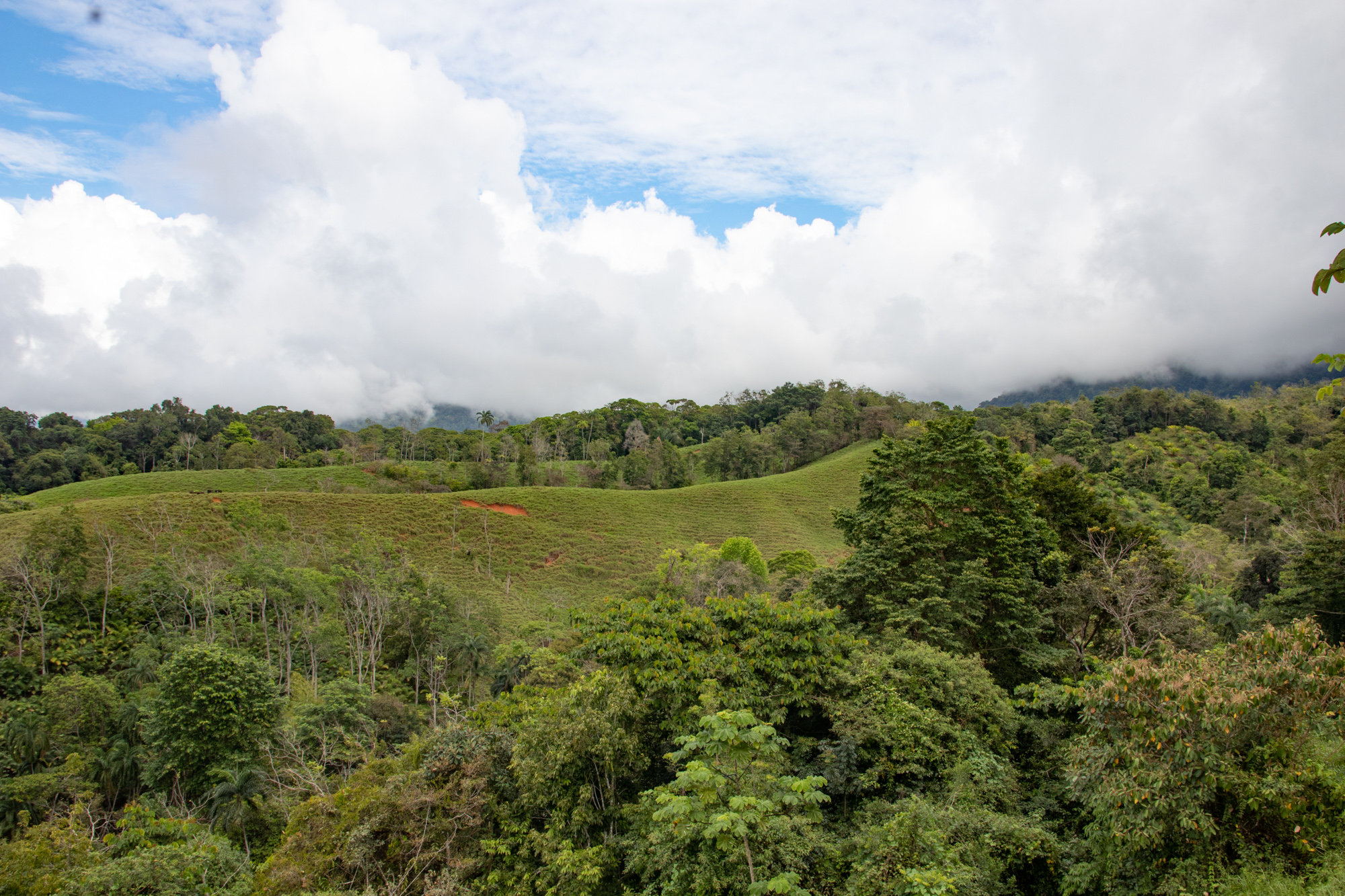0 bed Land For Sale in Dominical, Puntarenas - thumb 2