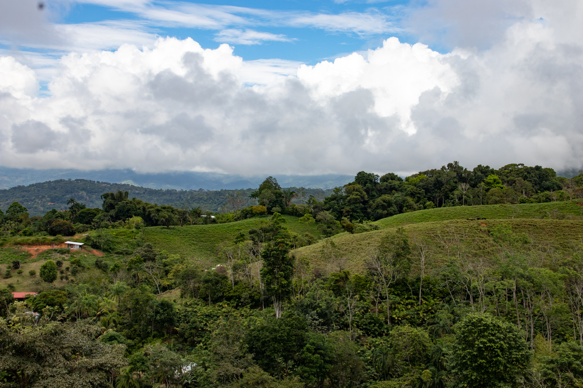 0 bed Land For Sale in Dominical, Puntarenas - thumb 3