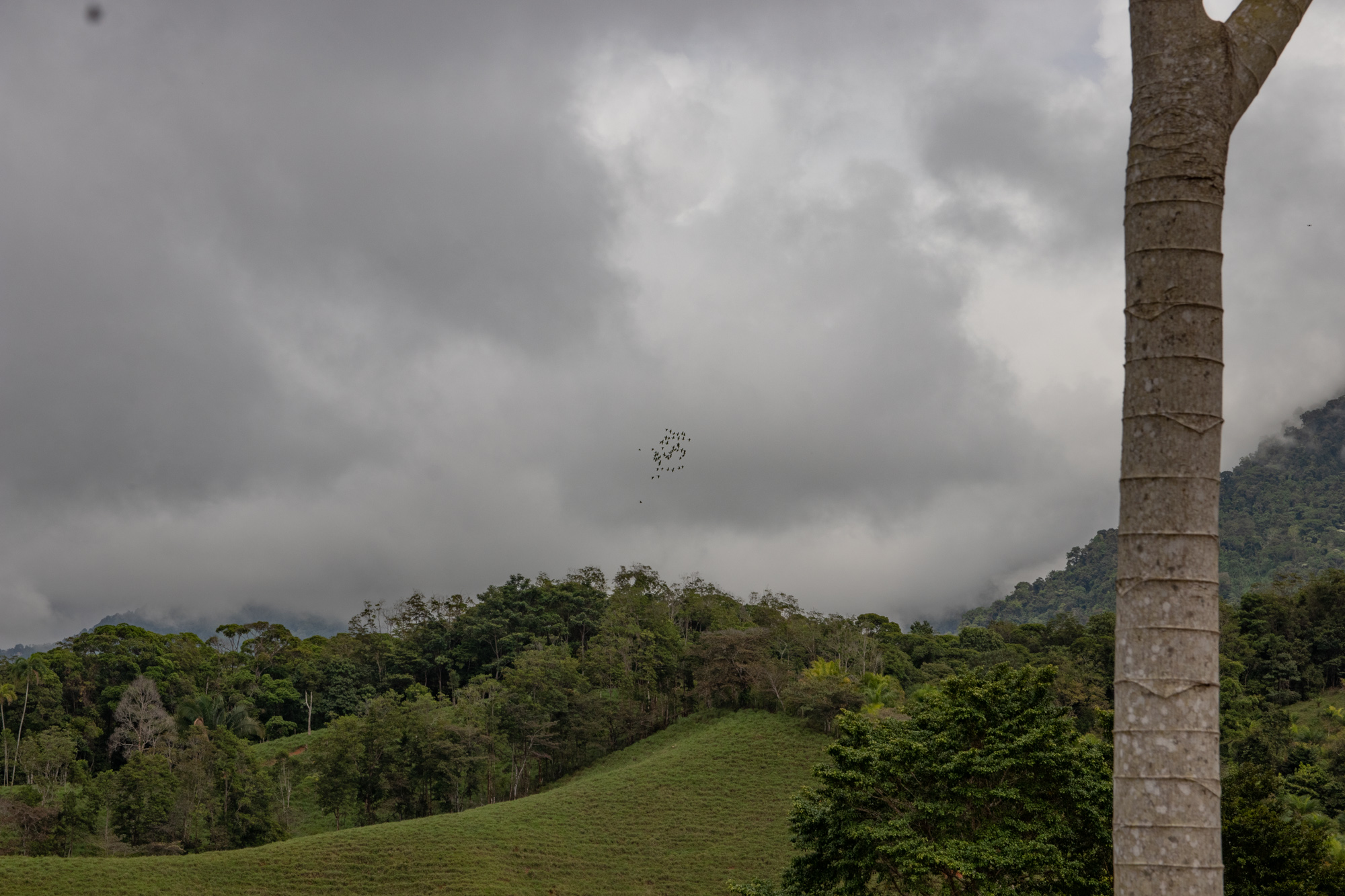 0 bed Land For Sale in Dominical, Puntarenas - thumb 6