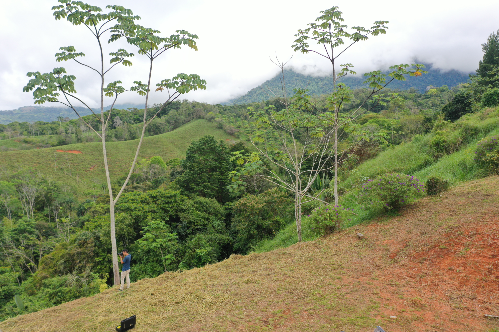 0 bed Land For Sale in Dominical, Puntarenas - thumb 10