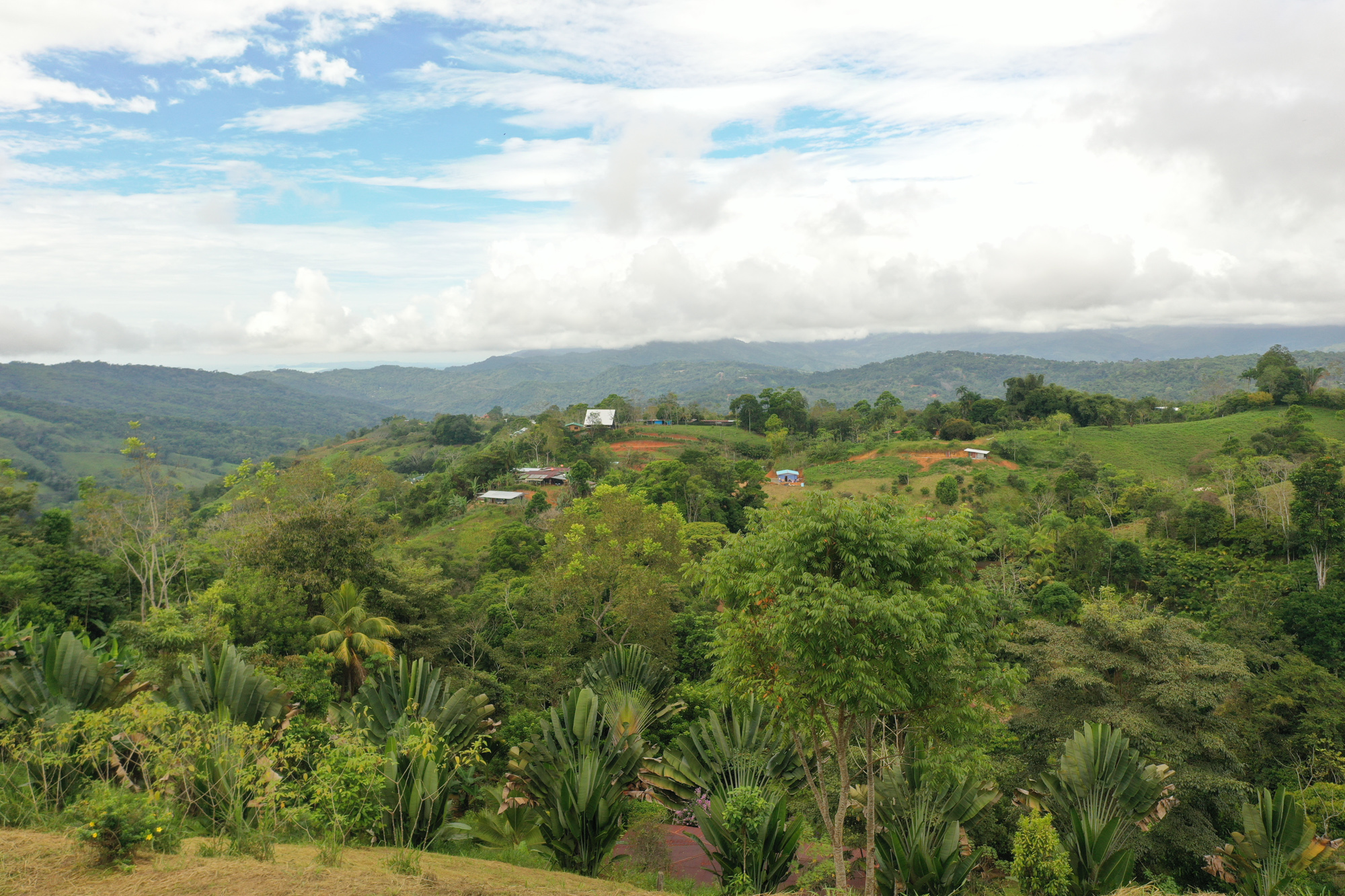 0 bed Land For Sale in Dominical, Puntarenas - thumb 8