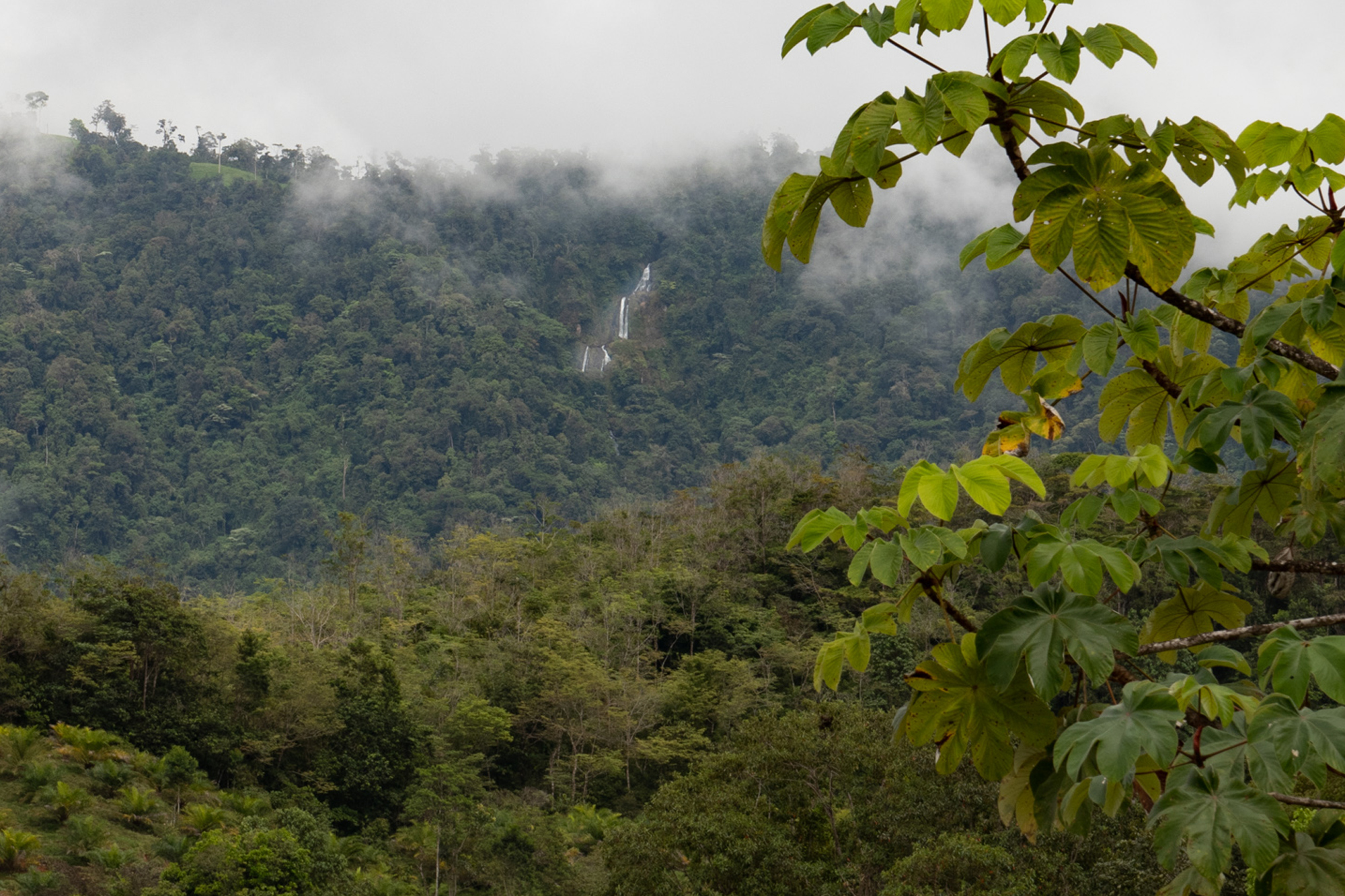 0 bed Land For Sale in Dominical, Puntarenas - thumb 11