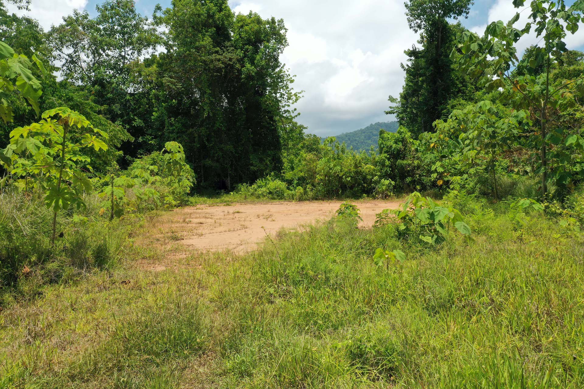 0 bed Single Family Homes For Sale in Savegre, Puntarenas - thumb 13