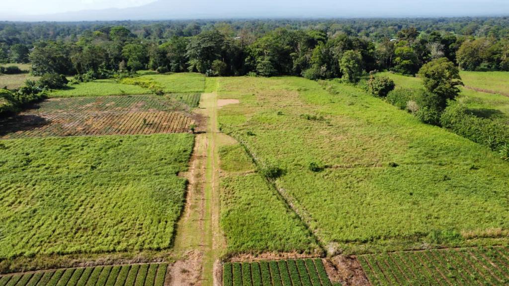 0 bed Land For Sale in Pococi, Limón - thumb 7