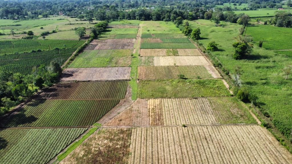 0 bed Land For Sale in Pococi, Limón - thumb 6