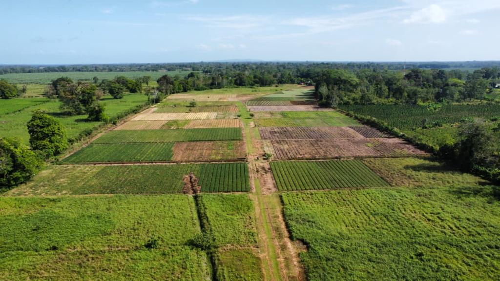 0 bed Land For Sale in Pococi, Limón - thumb 8