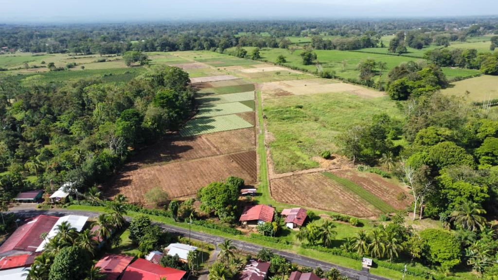 0 bed Land For Sale in Pococi, Limón - thumb 5