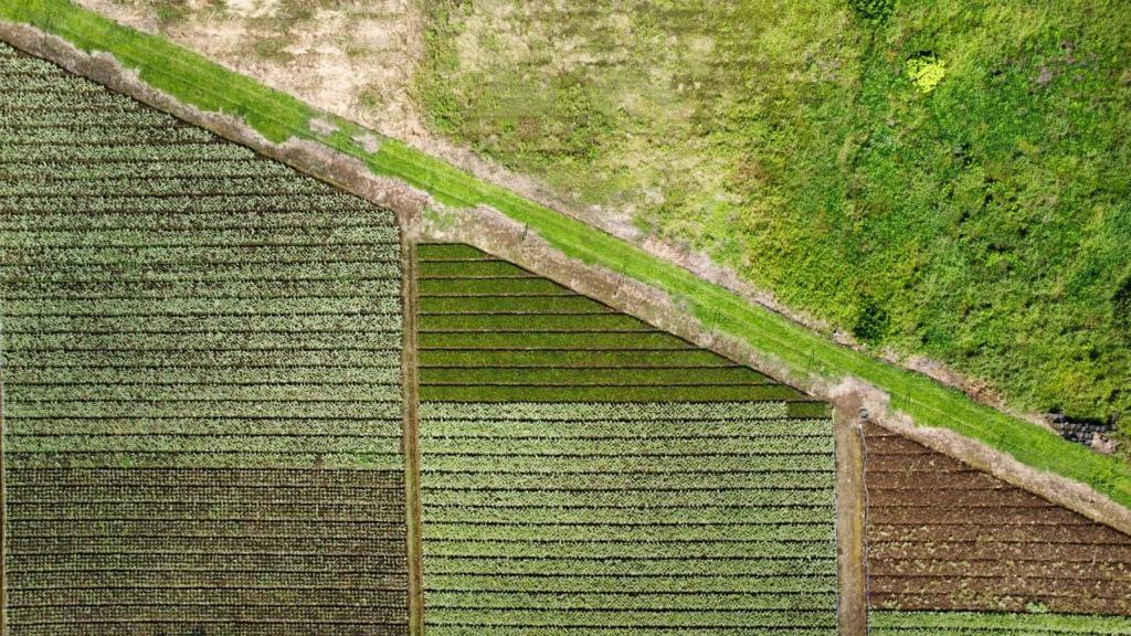 0 bed Land For Sale in Pococi, Limón - thumb 9