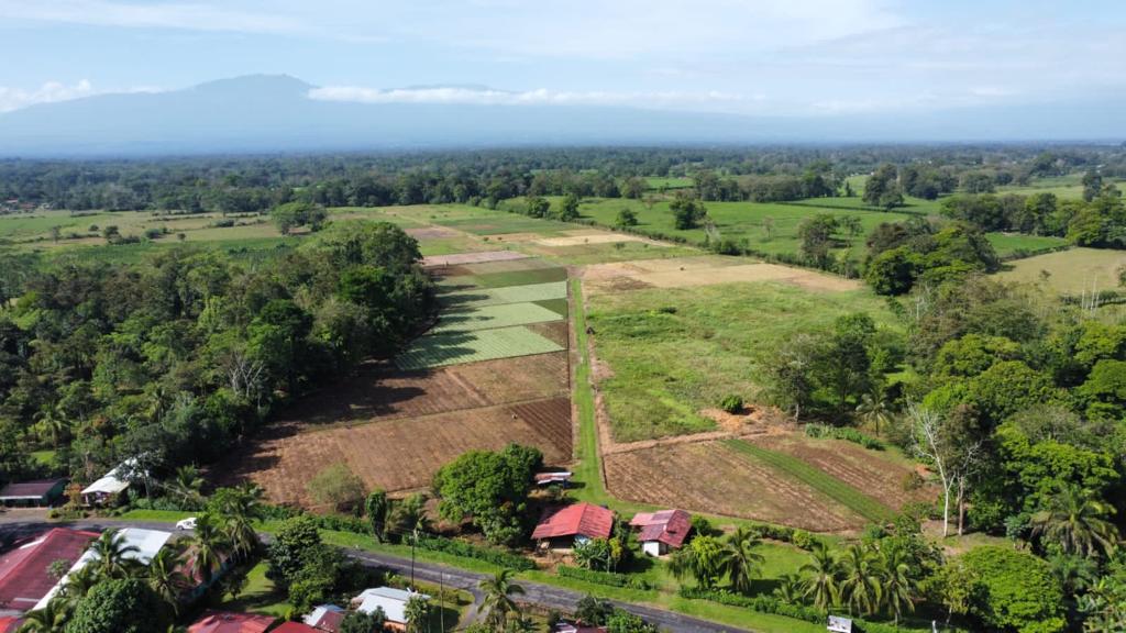 0 bed Land For Sale in Pococi, Limón - thumb 1