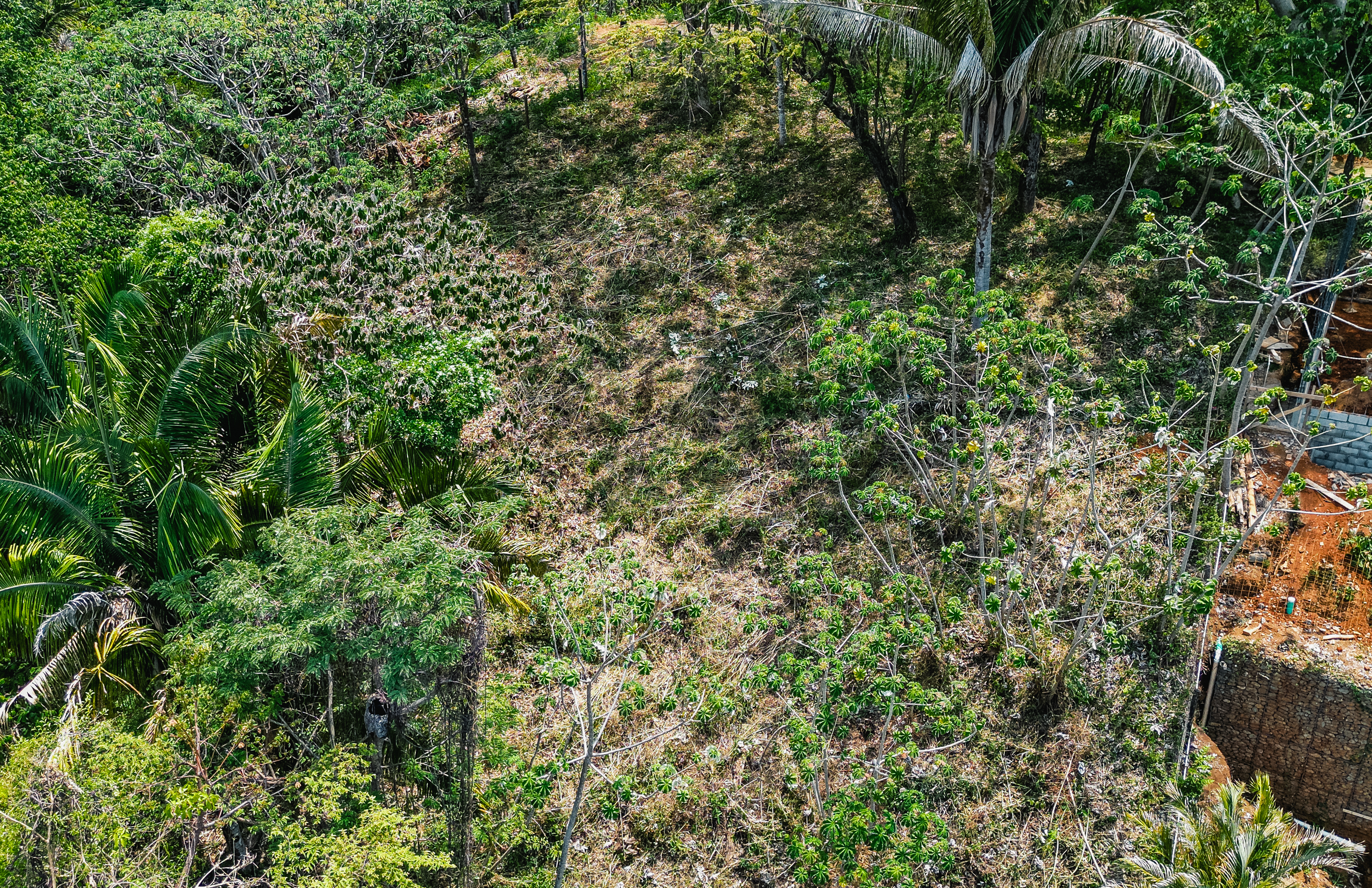 0 bed Land For Sale in Nosara, Guanacaste - thumb 10