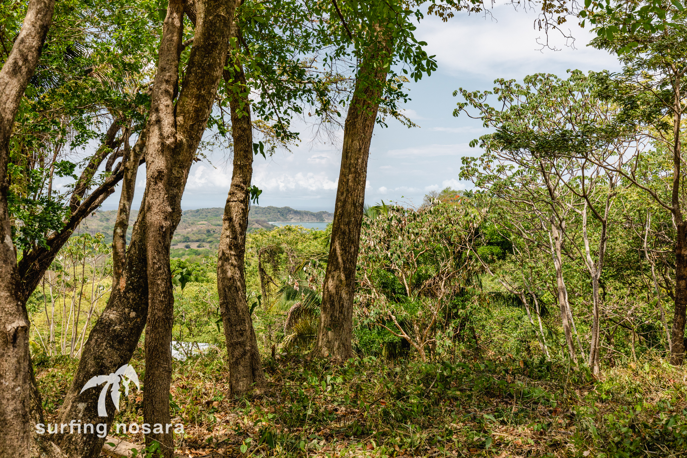 0 bed Land For Sale in Nosara, Guanacaste - thumb 9