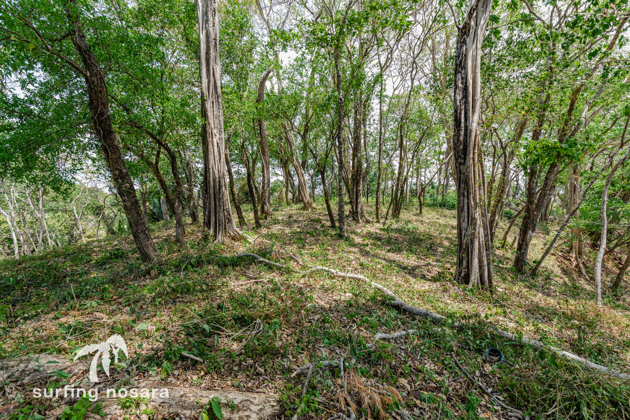0 bed Land For Sale in Nosara, Guanacaste - thumb 4