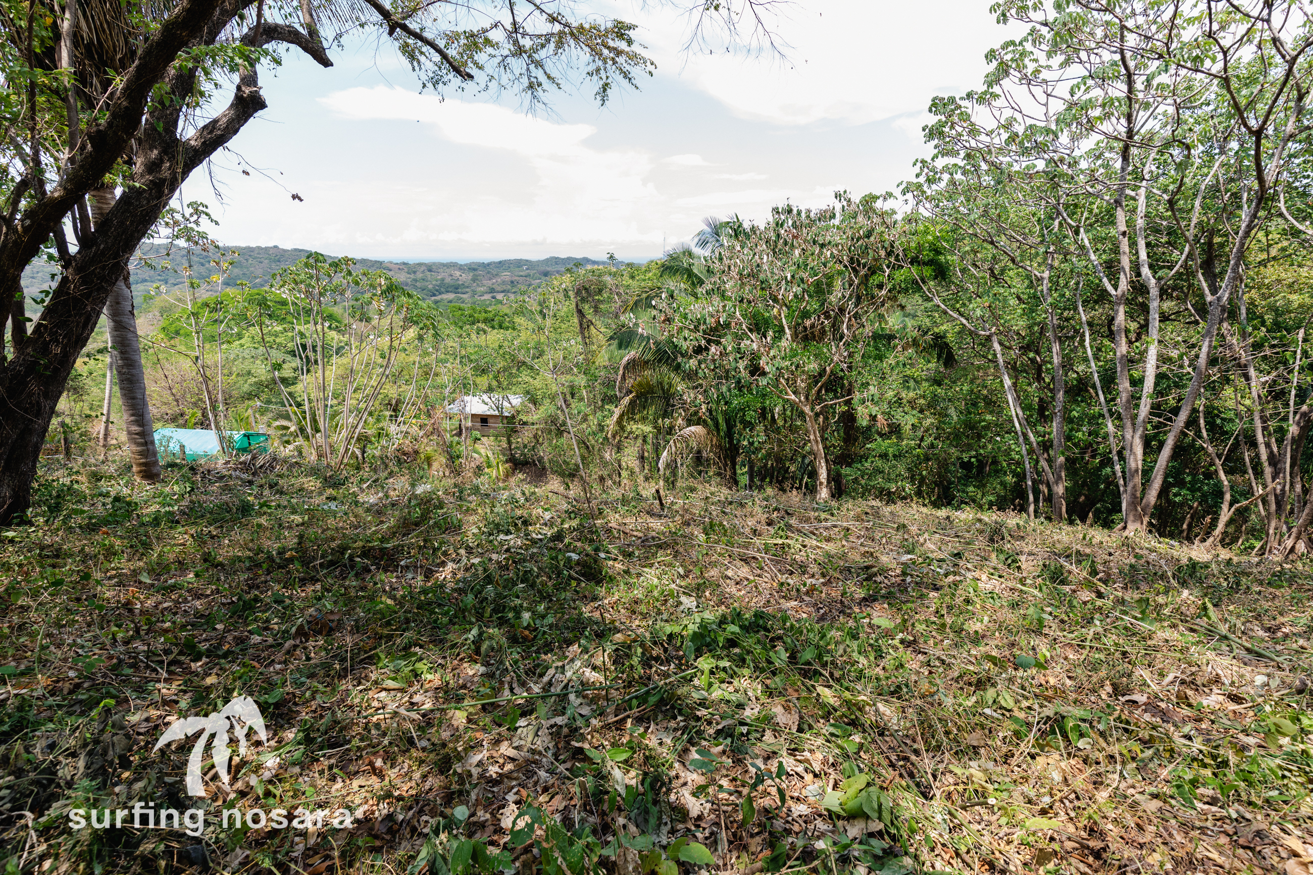 0 bed Land For Sale in Nosara, Guanacaste - thumb 8