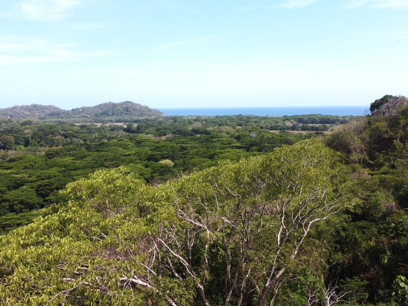 0 bed Land For Sale in Samara, Guanacaste - 1