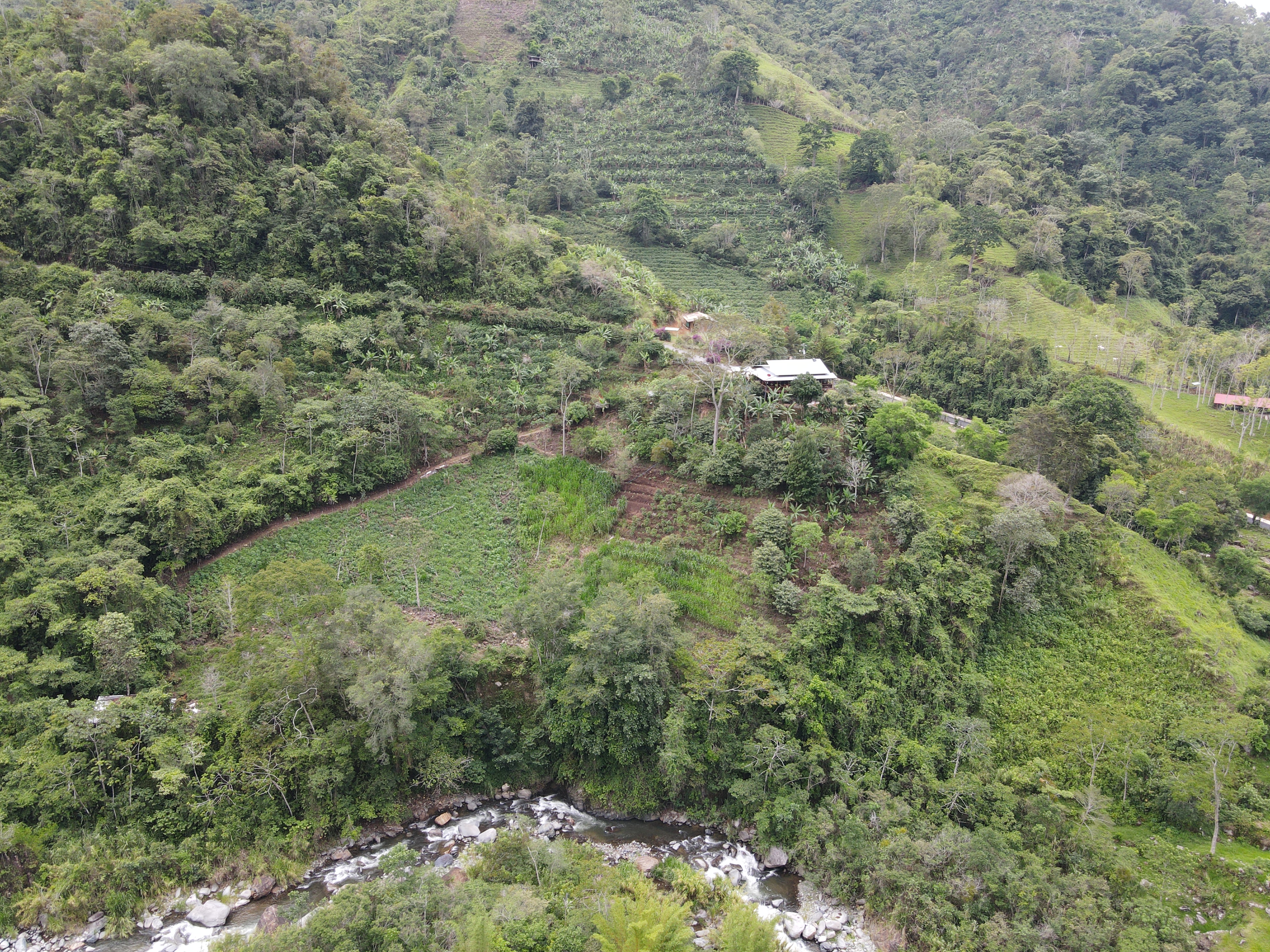 4 bed Single Family Homes For Sale in Perez Zeledon, San Jose - thumb 17