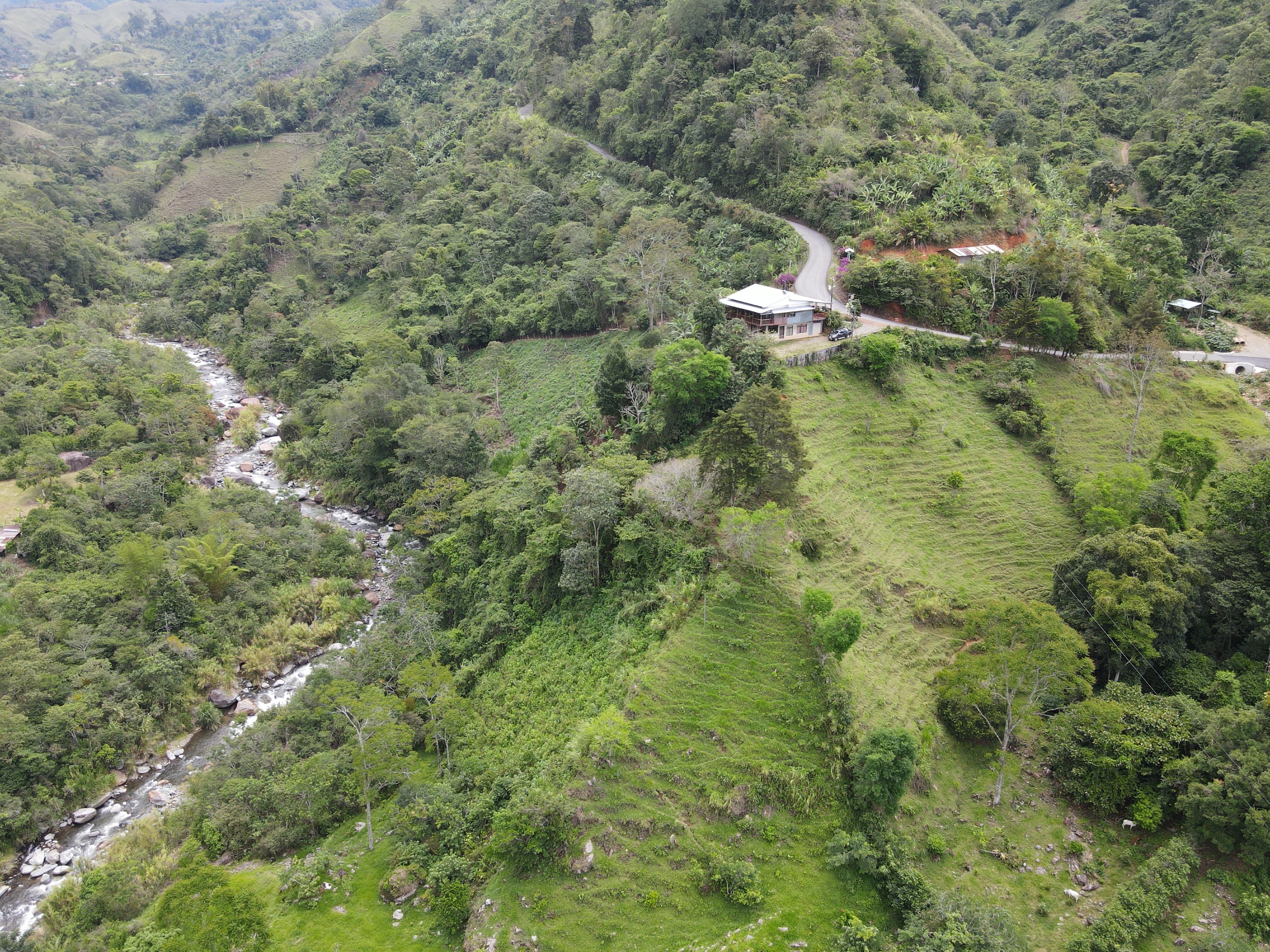 4 bed Single Family Homes For Sale in Perez Zeledon, San Jose - thumb 2