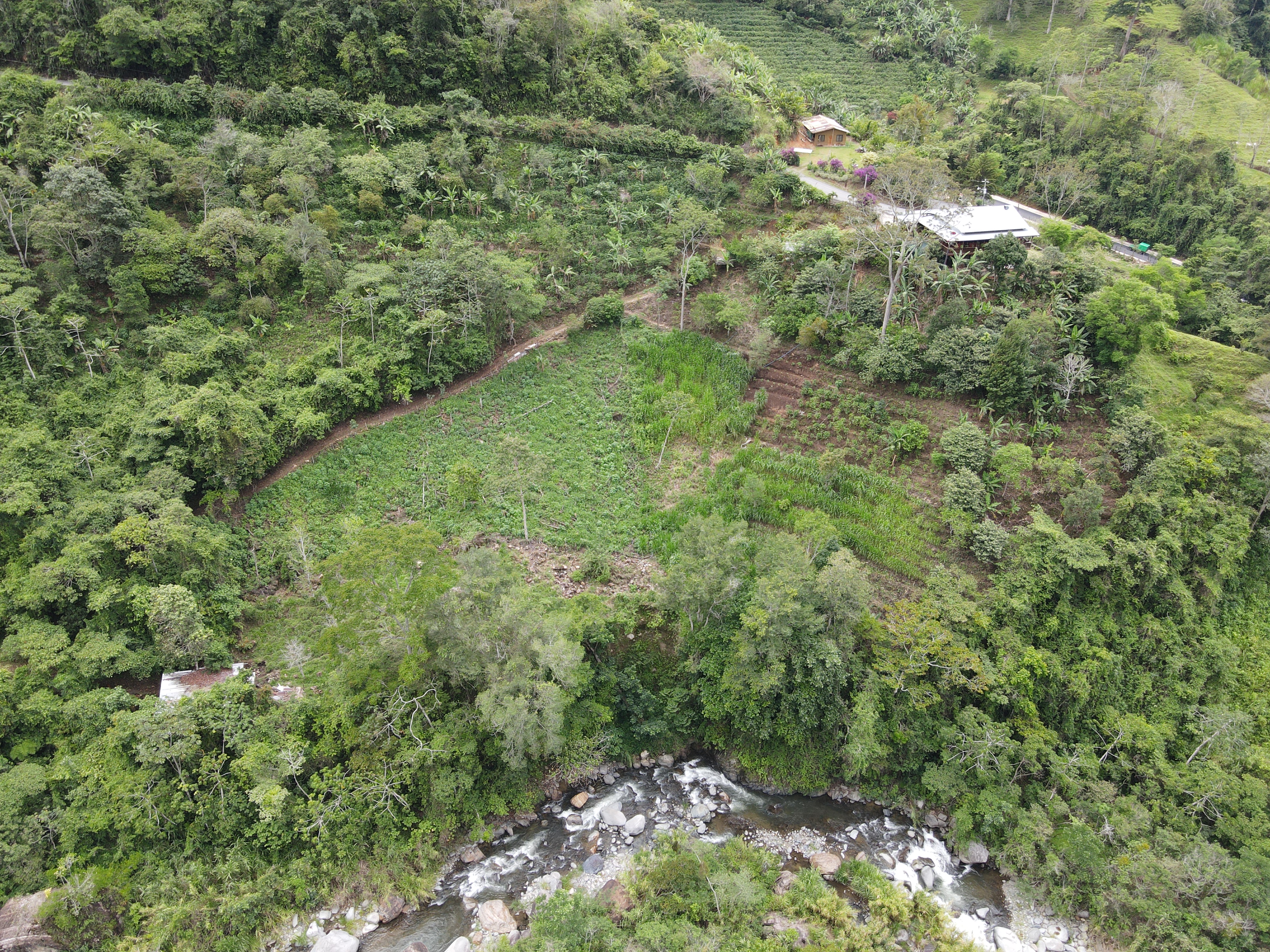 4 bed Single Family Homes For Sale in Perez Zeledon, San Jose - thumb 12