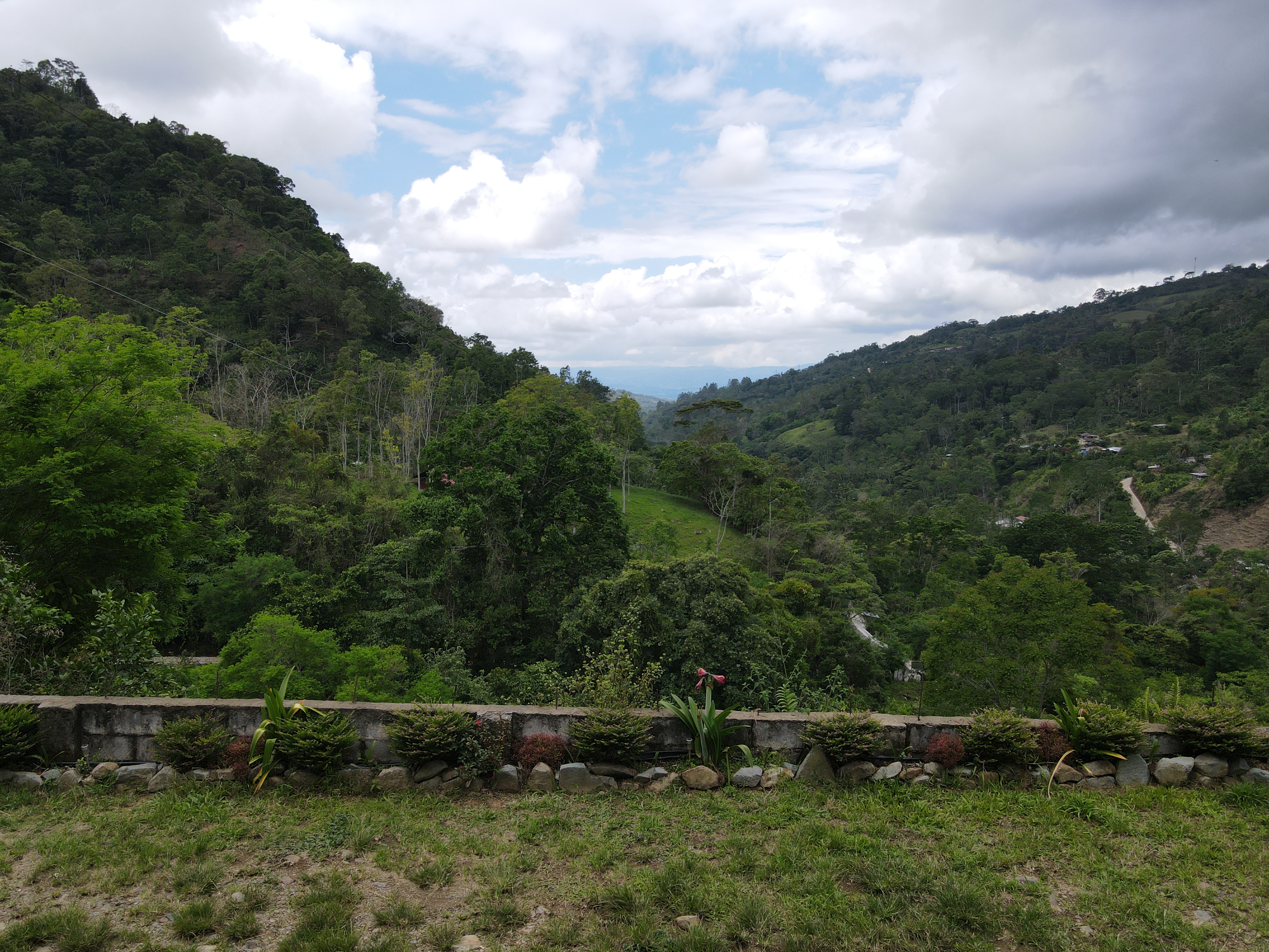 4 bed Single Family Homes For Sale in Perez Zeledon, San Jose - thumb 19