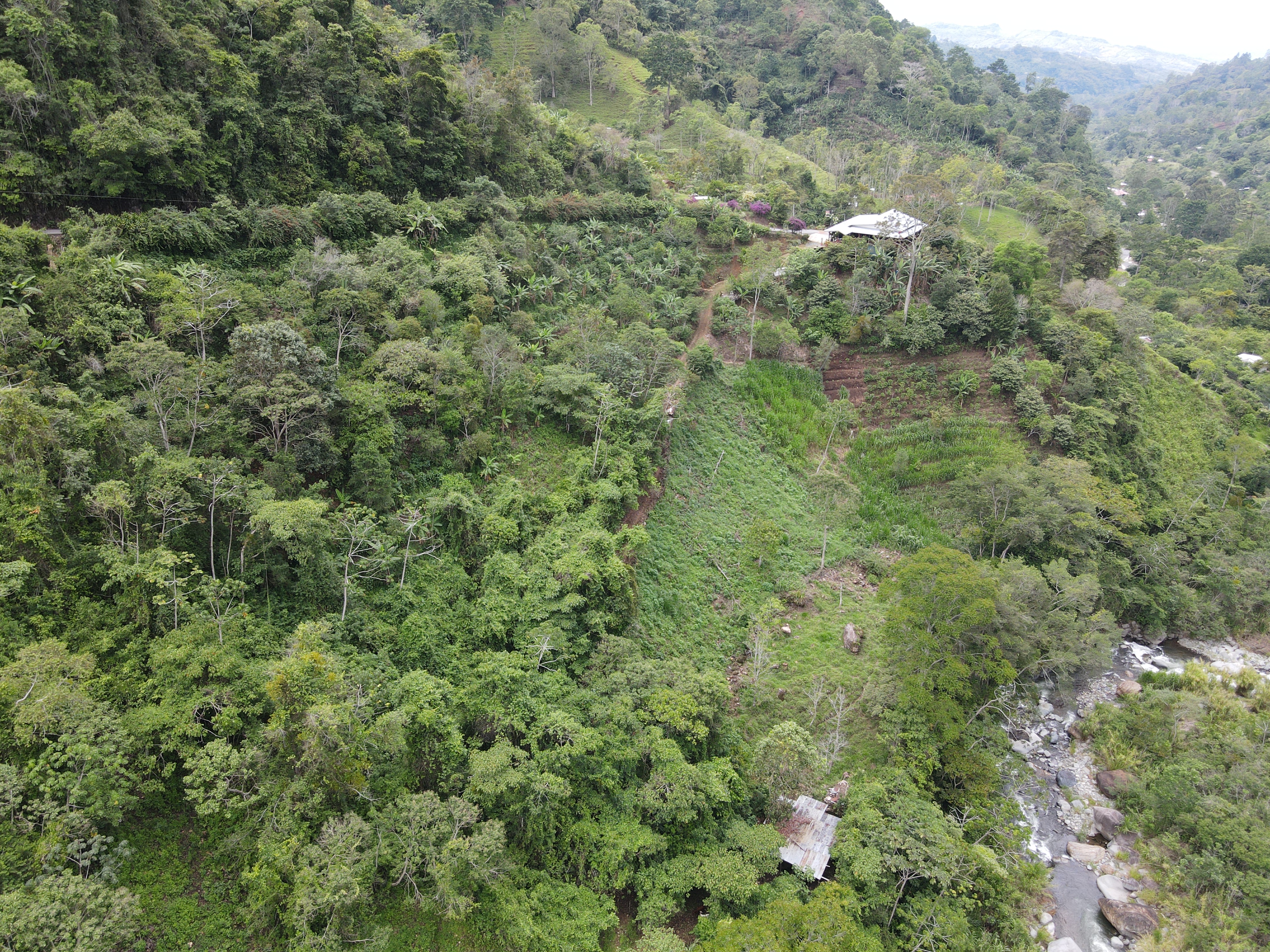 4 bed Single Family Homes For Sale in Perez Zeledon, San Jose - thumb 11