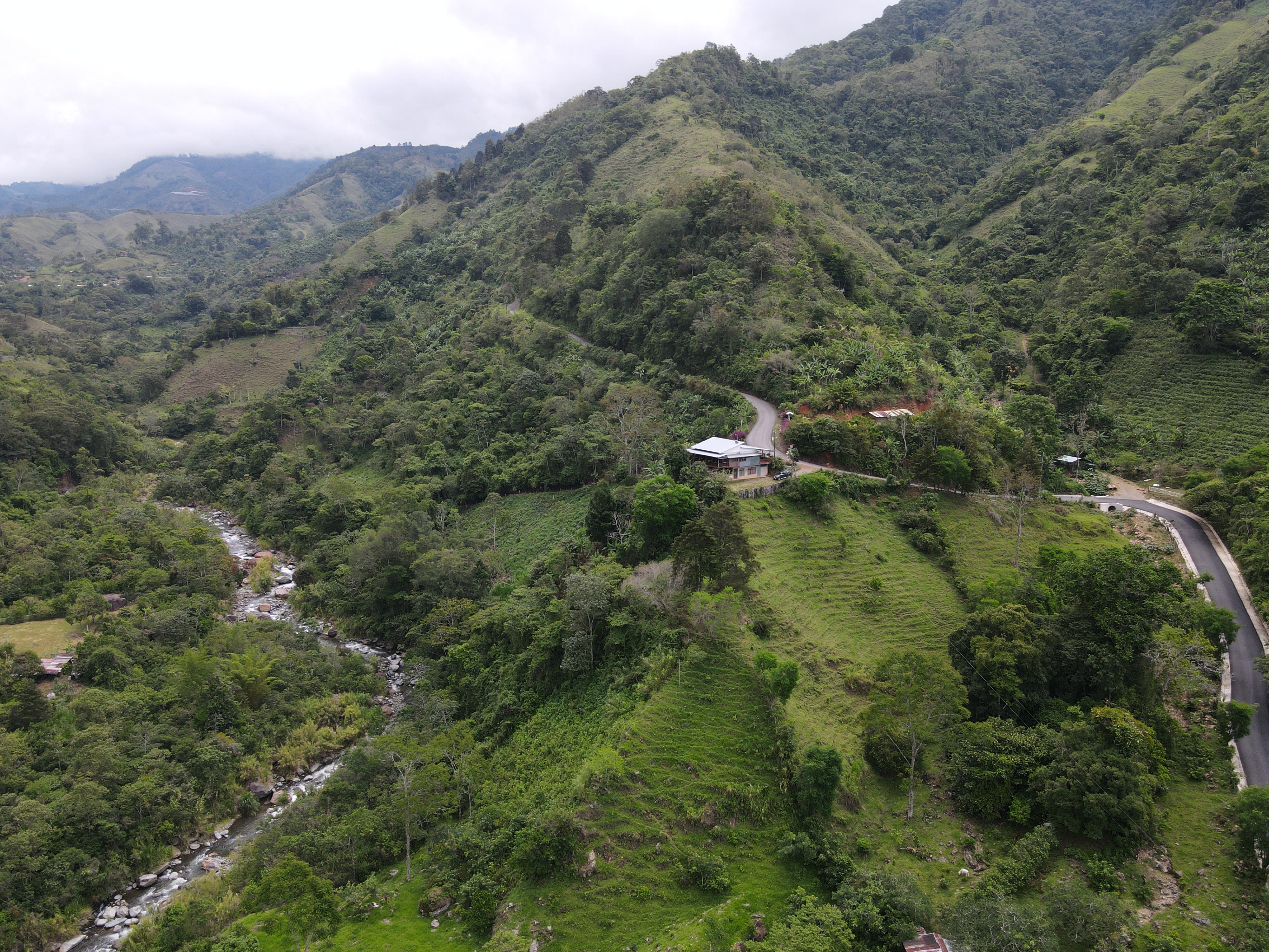 4 bed Single Family Homes For Sale in Perez Zeledon, San Jose - thumb 3