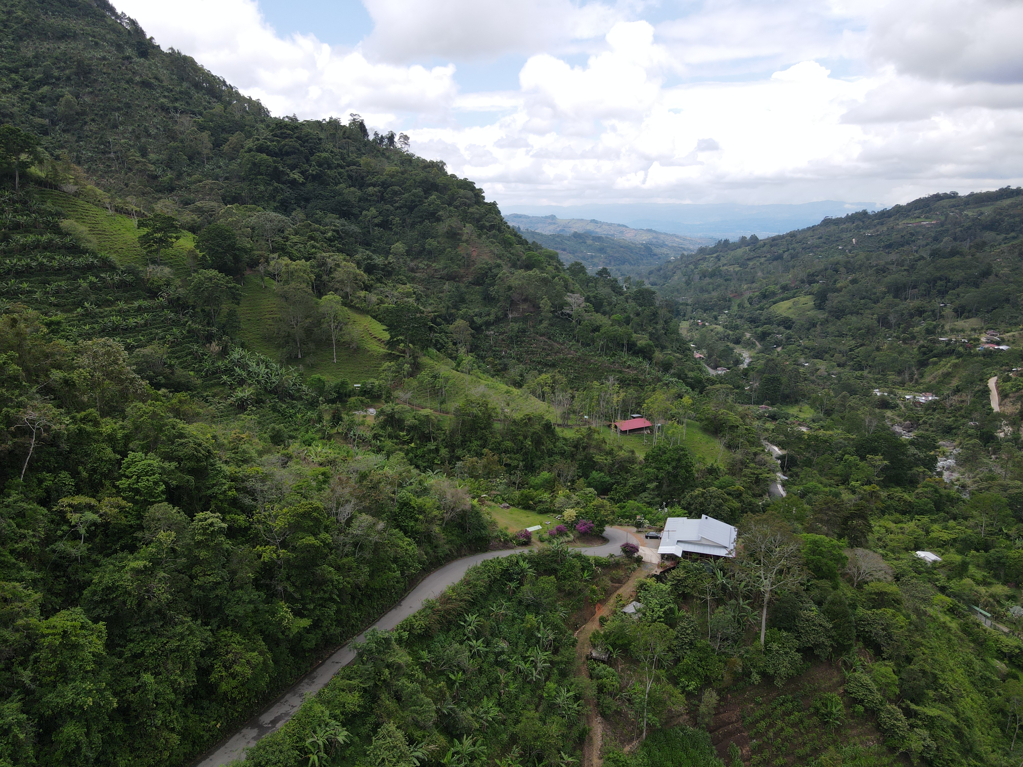 4 bed Single Family Homes For Sale in Perez Zeledon, San Jose - thumb 7